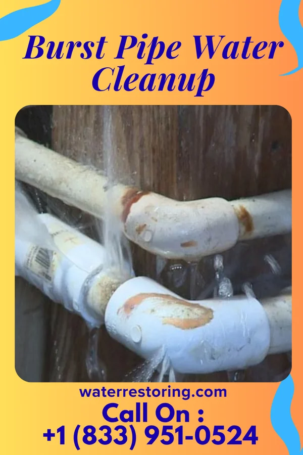 Burst Pipe Water Cleanup in University Place, WA