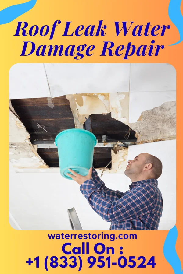 Roof Leak Water Damage Repair in University Place, WA