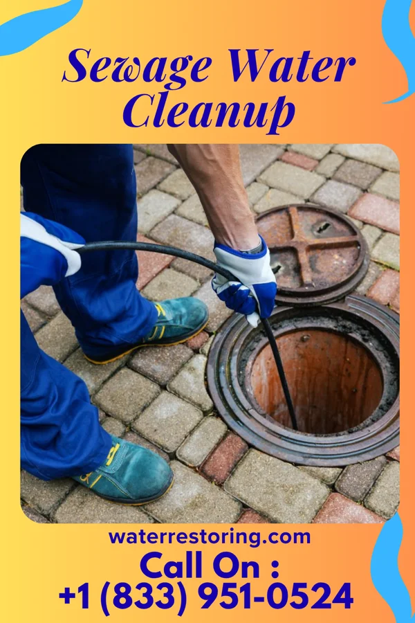 Sewage Water Cleanup in University Place, WA