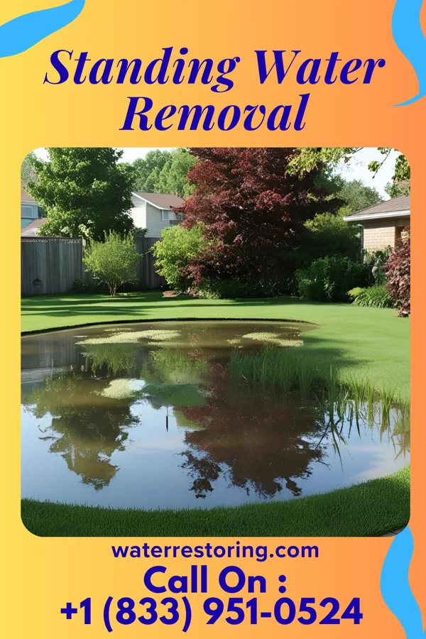 Standing Water Removal in University Place, WA